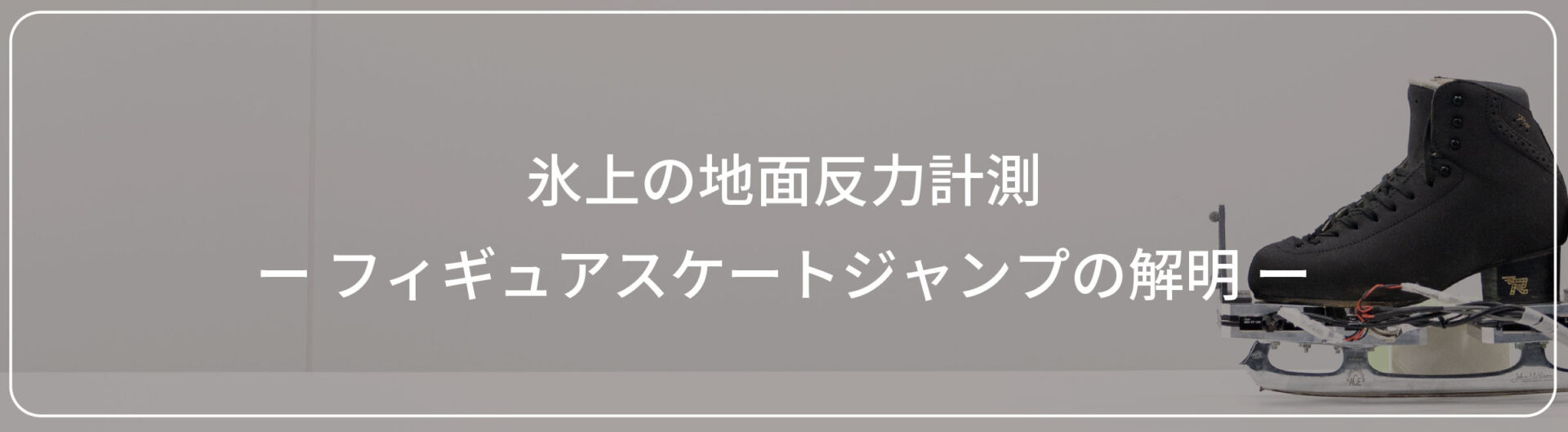 東京都立大学　長谷研究室　（長谷先生、高橋先生、原様、古塩様、原口様）